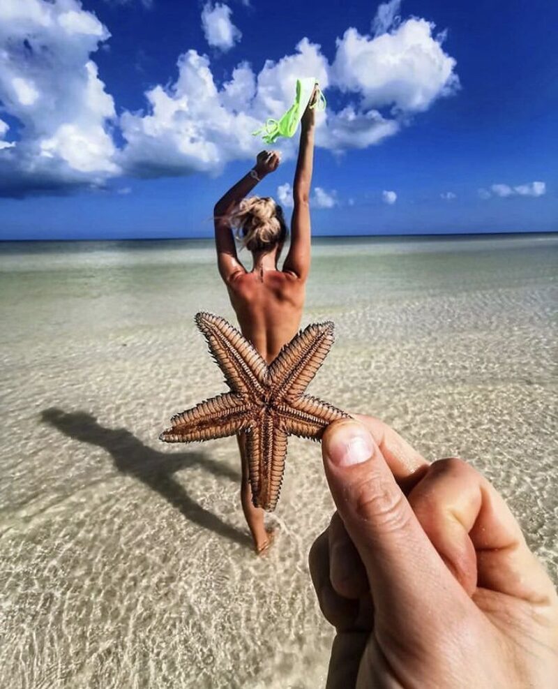 Nemzetközi naturista turisztikai hírfigyelő