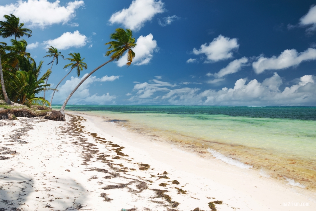 caribbean-wild-beach.jpg